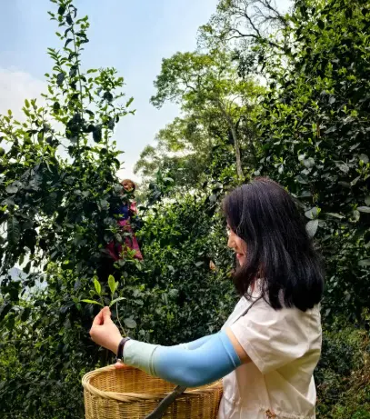 智慧湾科创园3D打印桥霓虹拍照，集装箱文创区小众夜生活打卡位，真不是吹的🤯
