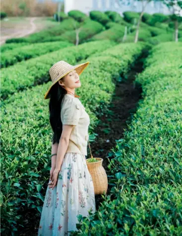 沪上必吃榜盘点：本地人认可的老字号与苍蝇馆子