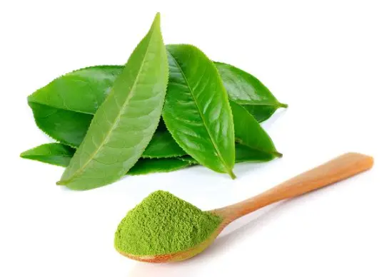 品茶网独家揭秘：新手选茶避坑指南，三步锁定你的本命茶🍵