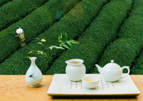 上海锅贴推荐哪家强？老字号盘点加美食打卡路线，我吃到扶墙出😭